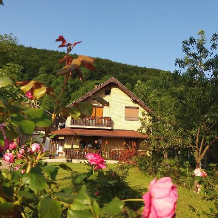 Blue Moon Apartment Licko Petrovo Selo ภายนอก รูปภาพ