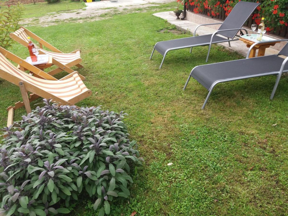 Blue Moon Apartment Licko Petrovo Selo ภายนอก รูปภาพ